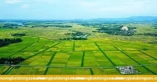 Ảnh hưởng của phân cấp đến giá và thanh khoản tại Mê Linh