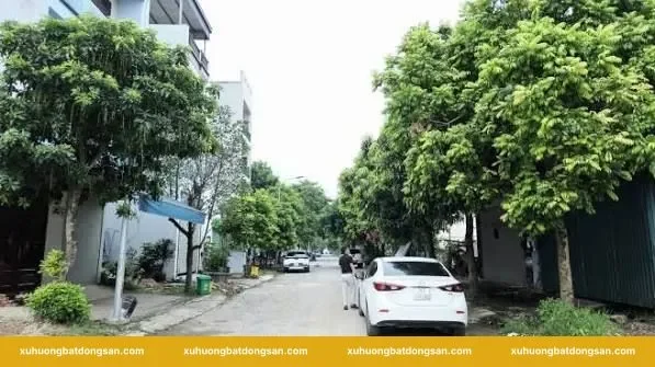 Các khu vực đáng chú ý khi tìm nhà riêng tại Mê Linh