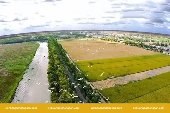 Cách kiểm tra pháp lý thực tế trước khi quyết định chuyển mục đích