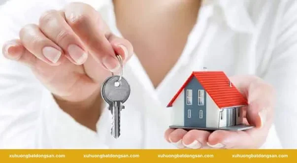 Hồ sơ cho tặng đất Mê Linh cần chuẩn bị đủ ngay từ đầu