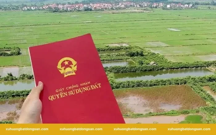 Khi nào cần hợp thửa đất tại Mê Linh?