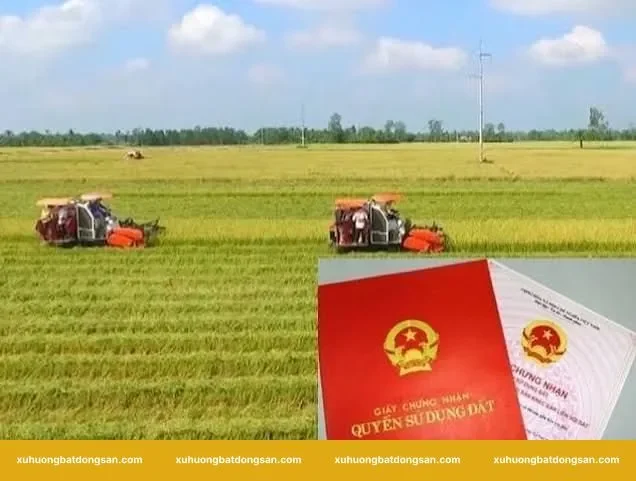 Khi nào đất nông nghiệp được chuyển lên thổ cư?