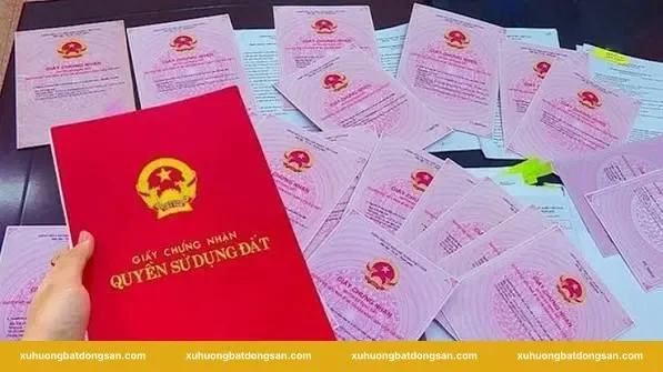 Khi nào sổ đỏ bị thu hồi theo luật 2024?