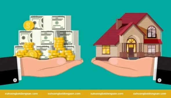 Mẫu thông tin tối thiểu phải có trong giấy cọc