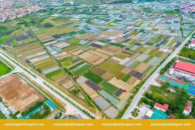 Nên mua đất gần Võ Văn Kiệt để ở hay để đầu tư?