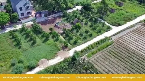 Trường hợp nên hỏi kỹ chuyên môn trước khi nộp hồ sơ