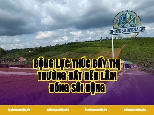 Động lực thúc đẩy thị trường đất nền Lâm Đồng sôi động